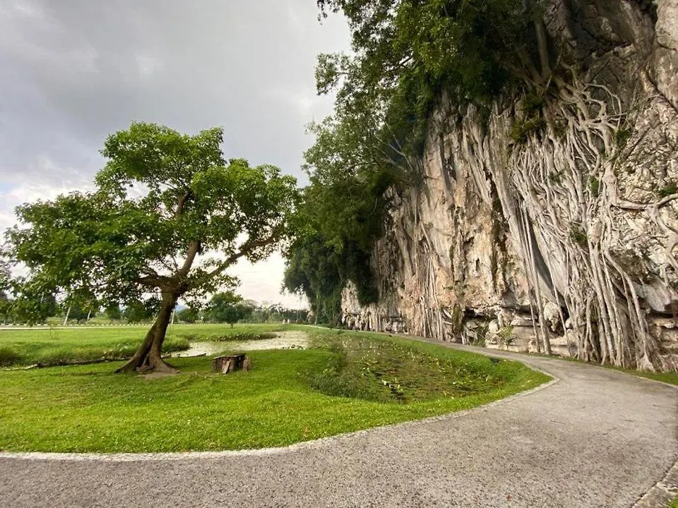 Low Season Promotion! 4B11B Mountainview 16 Pax Ipoh